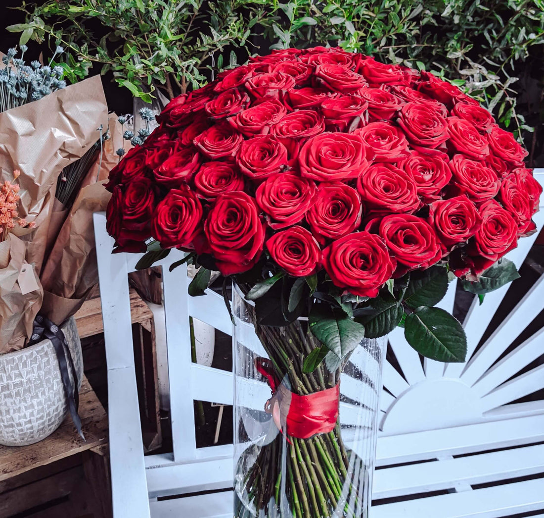 red roses, valentines day flowers  ,