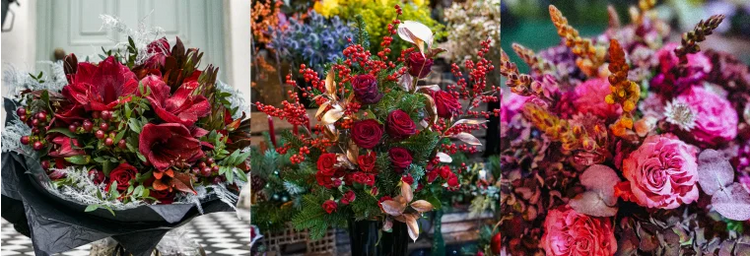 Christmas Flowers