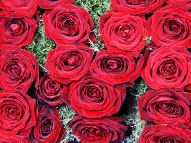 grand prix luxury red roses funeral tribute