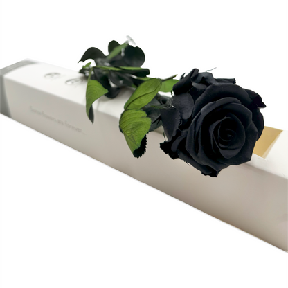 Long-Stemmed Black Infinity Rose