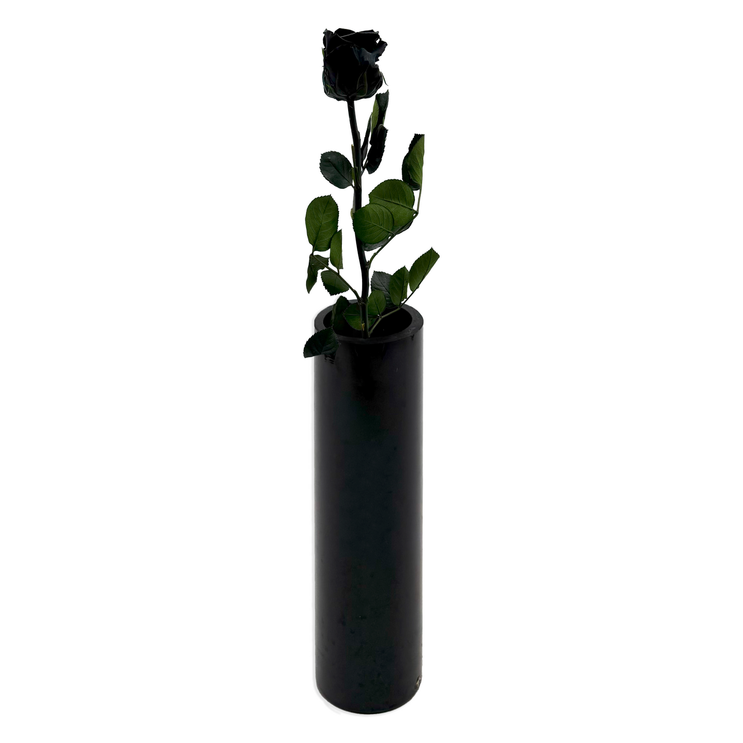 Long-Stemmed Black Infinity Rose