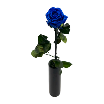 Long-stemmed Blue Infinity Rose