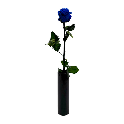 Long-stemmed Blue Infinity Rose