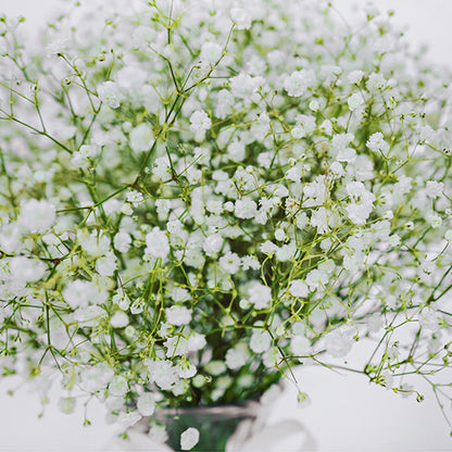 Baby's Breath in a Vase (Vase Included)