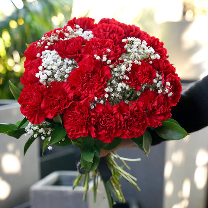 Red Carnation Bouquet