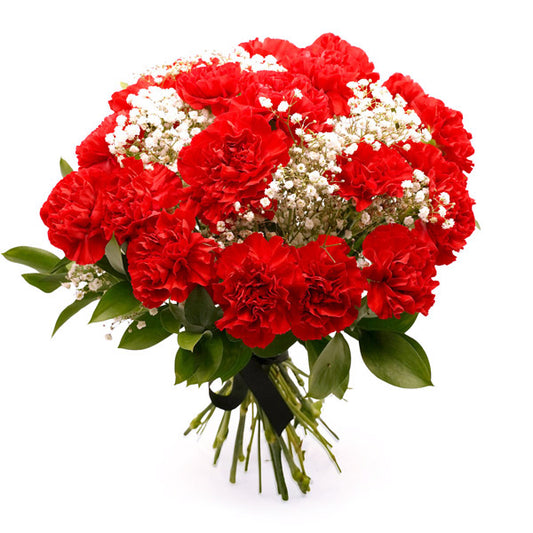 Red Carnation Bouquet