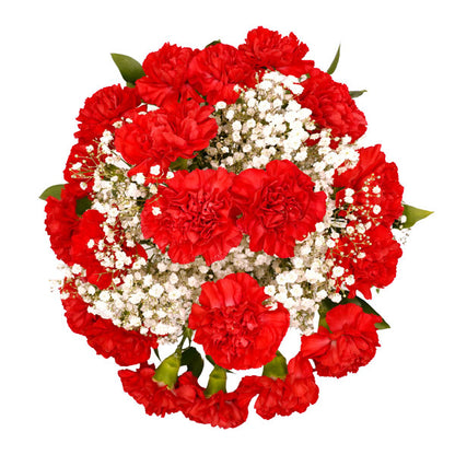 Red Carnation Bouquet