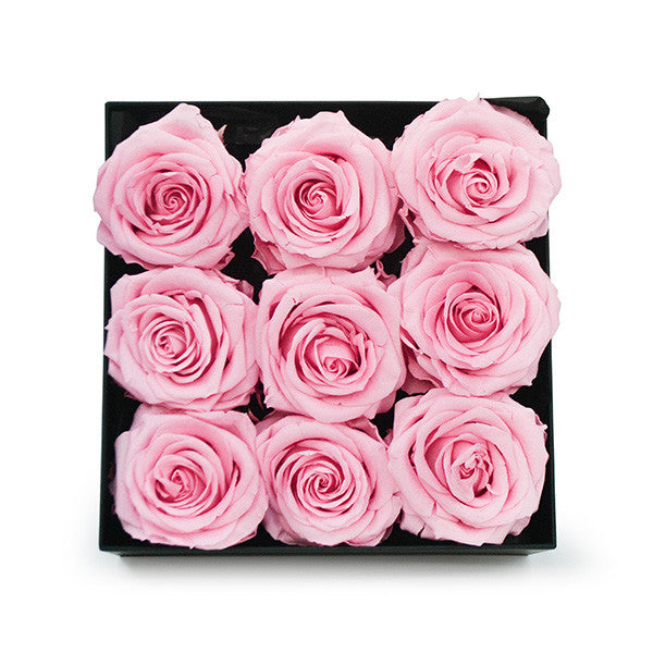 Infinity Pink Roses in a Black Box