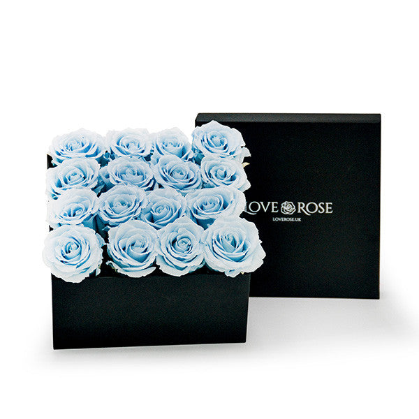 Infinity Blue Roses in a Black Box