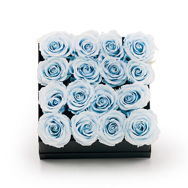 Infinity Blue Roses in a Black Box