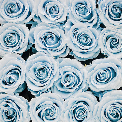 Infinity Blue Roses in a Black Box