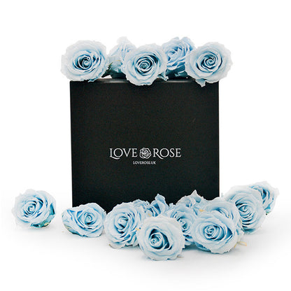 Infinity Blue Roses in a Black Box