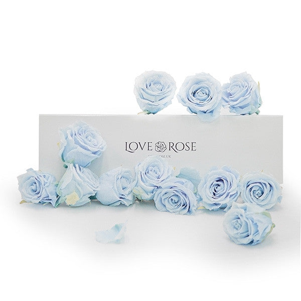 Infinity Blue Roses in a White Box