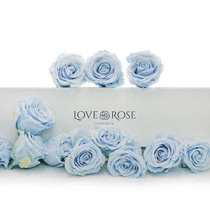 Infinity Blue Roses in a White Box