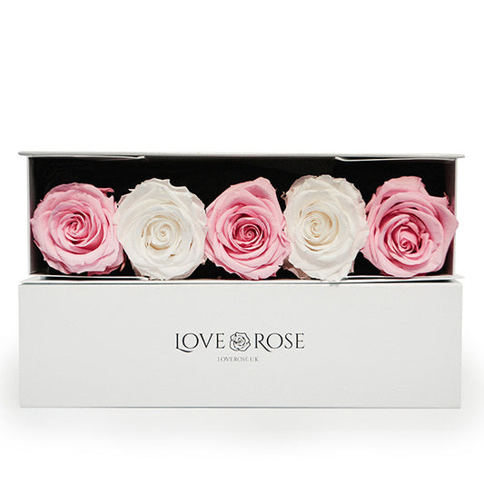 5 Infinity Pink & White Roses in a White Box