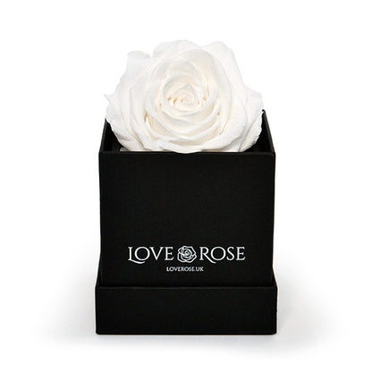 Single White Rose in a Box