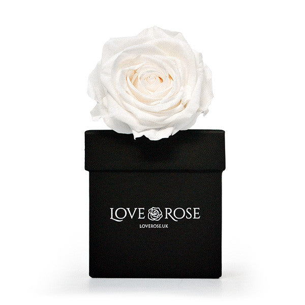 Single White Rose in a Box