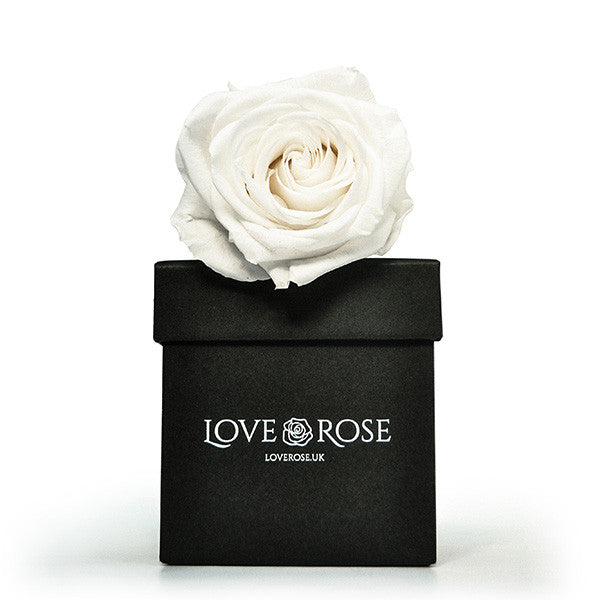 Single White Rose in a Box