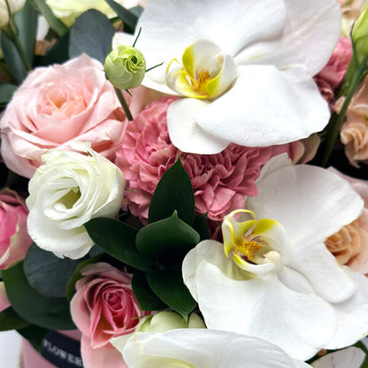 Elegance in Pink Hat Box