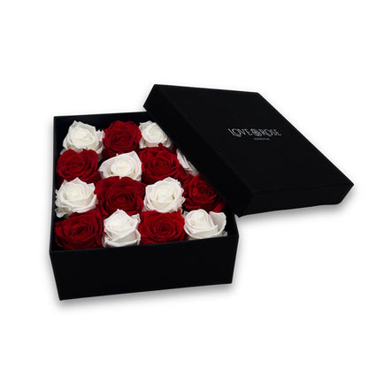 Infinity Red and White Roses in a Black Box