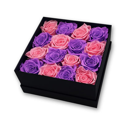 Infinity Pink and Purple Roses in a Black Box