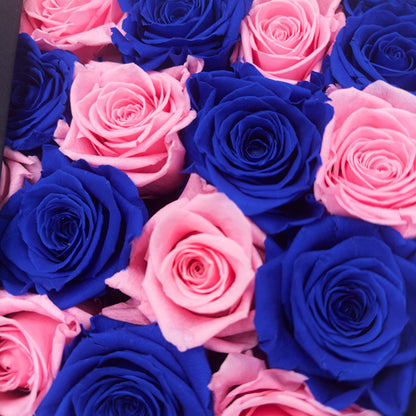 Preserved Blue and Pink Roses in a Black Box