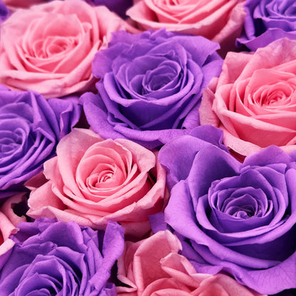 Infinity Pink and Purple Roses in a Black Box