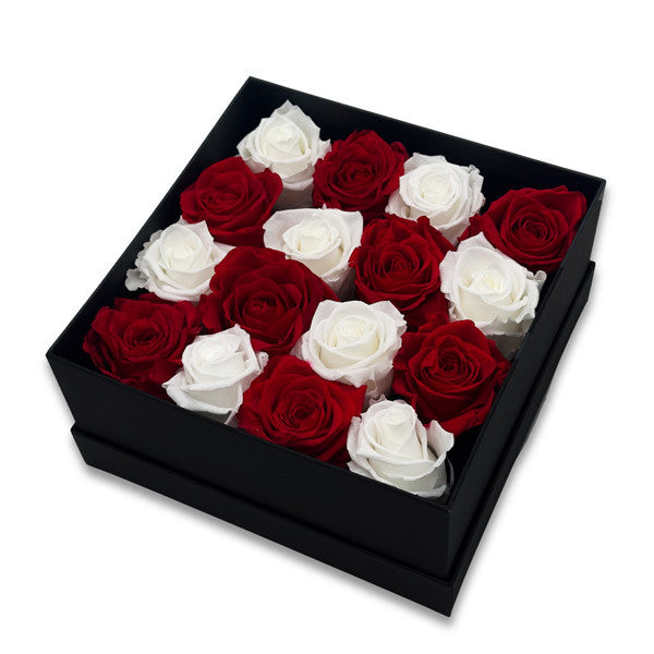 Infinity Red and White Roses in a Black Box