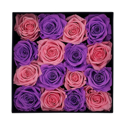 Infinity Pink and Purple Roses in a Black Box