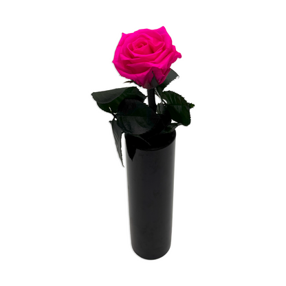 Short Hot Pink Rose