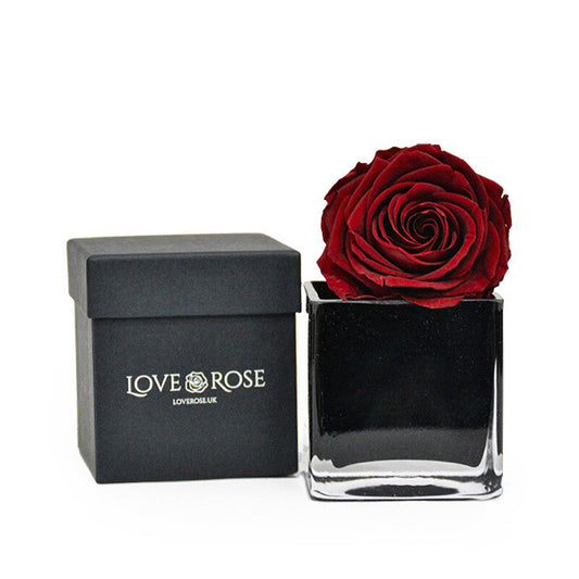 Single Red Rose Head in Luxury Vase