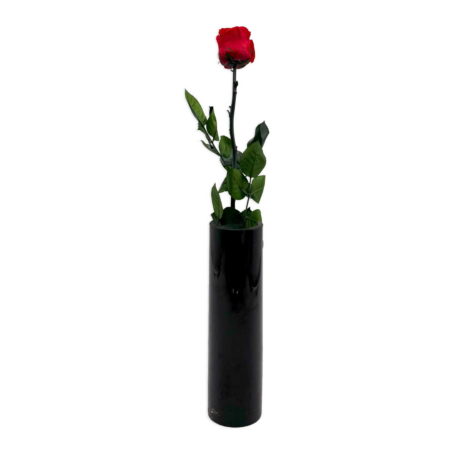 Long-Stemmed Red Infinity Rose