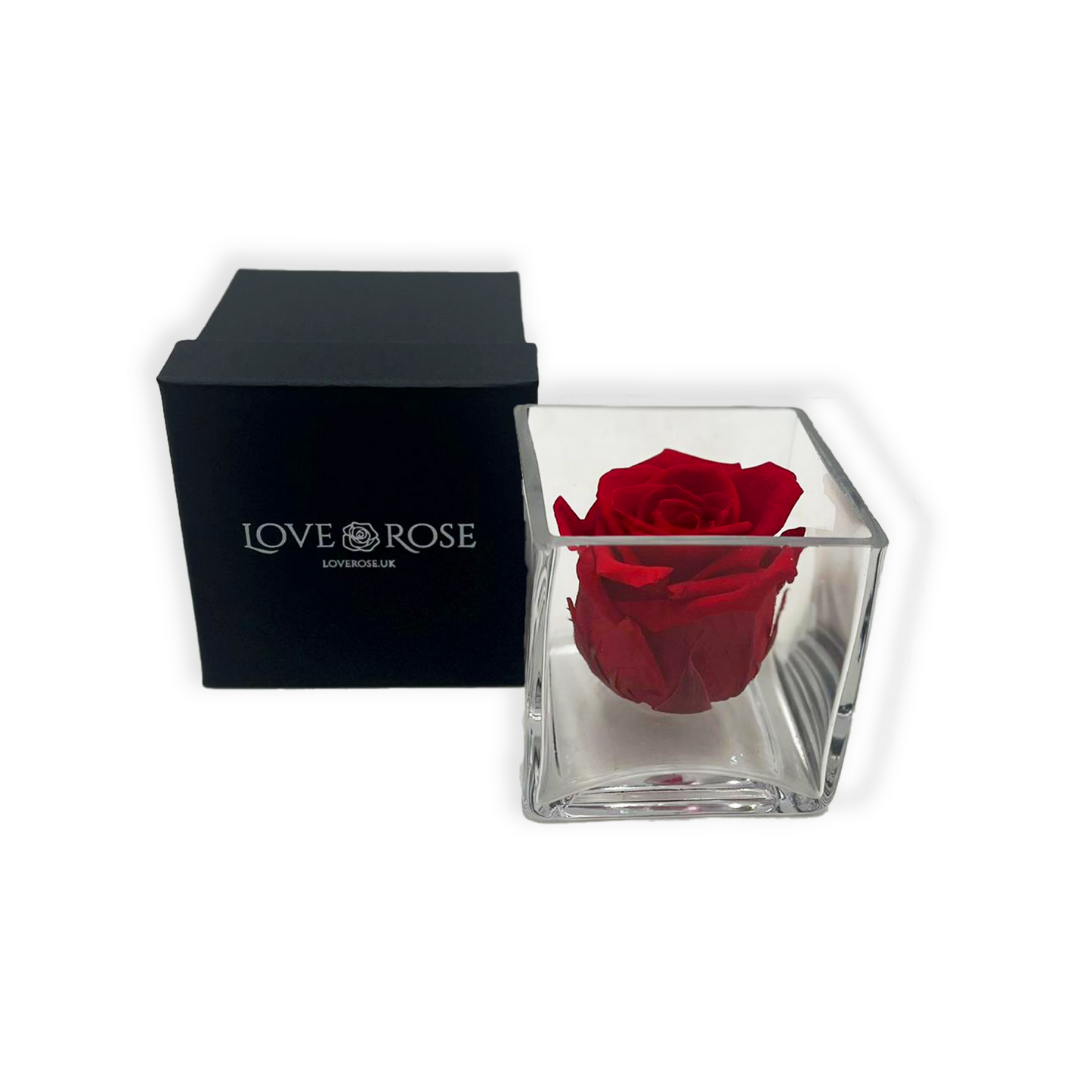 Single Red Rose Head in Clear Vase