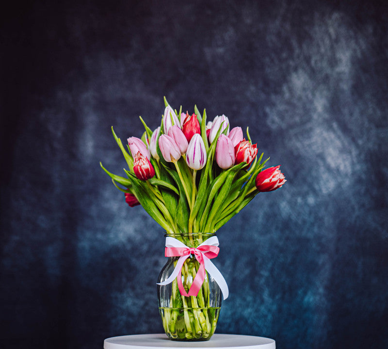 Sweet Tulips in a Vase