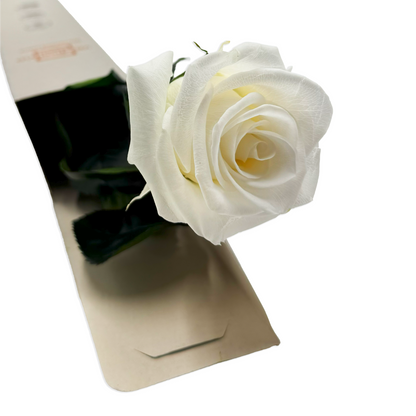 Long-Stemmed White Infinity Rose