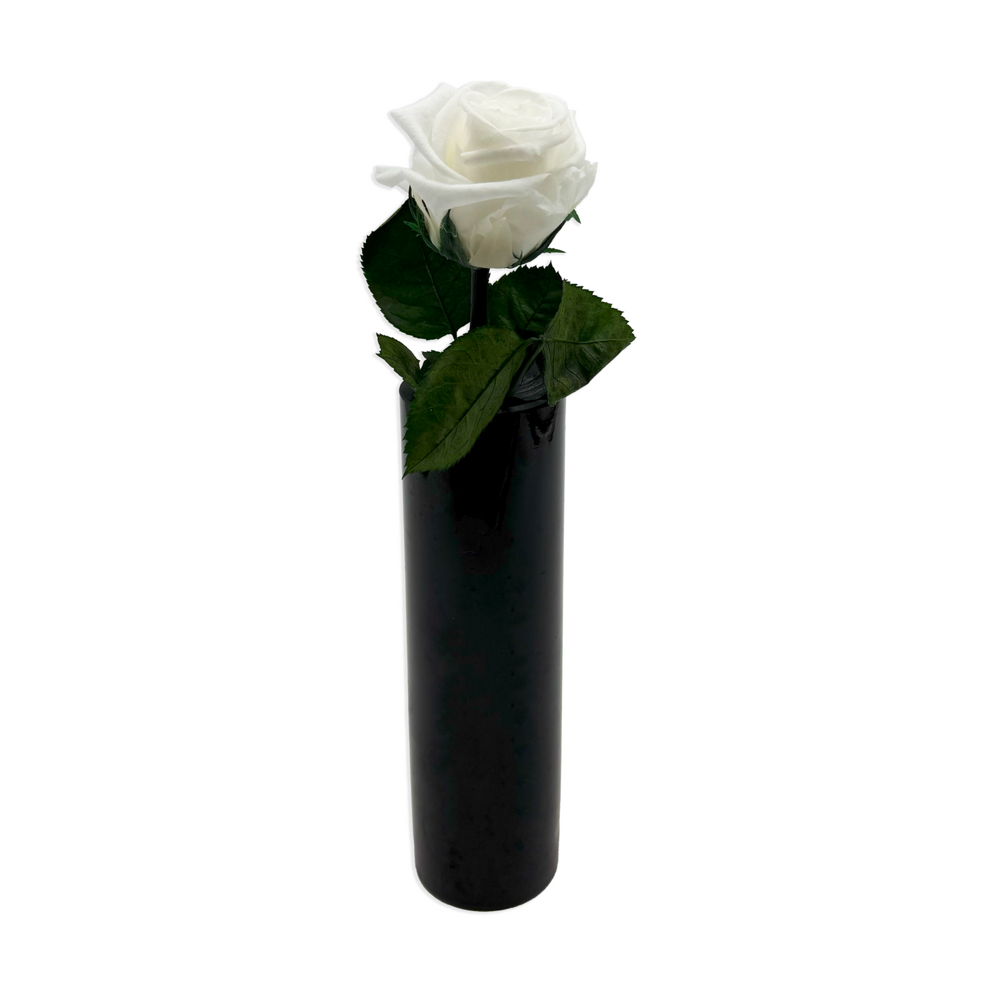 Short White Infinity Rose