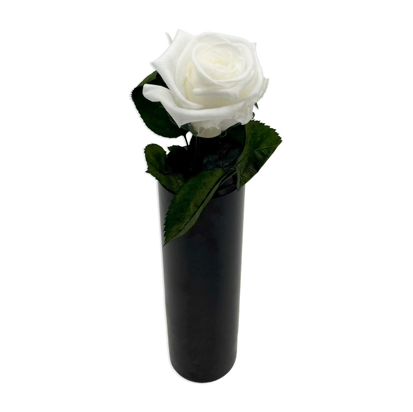 Short White Infinity Rose