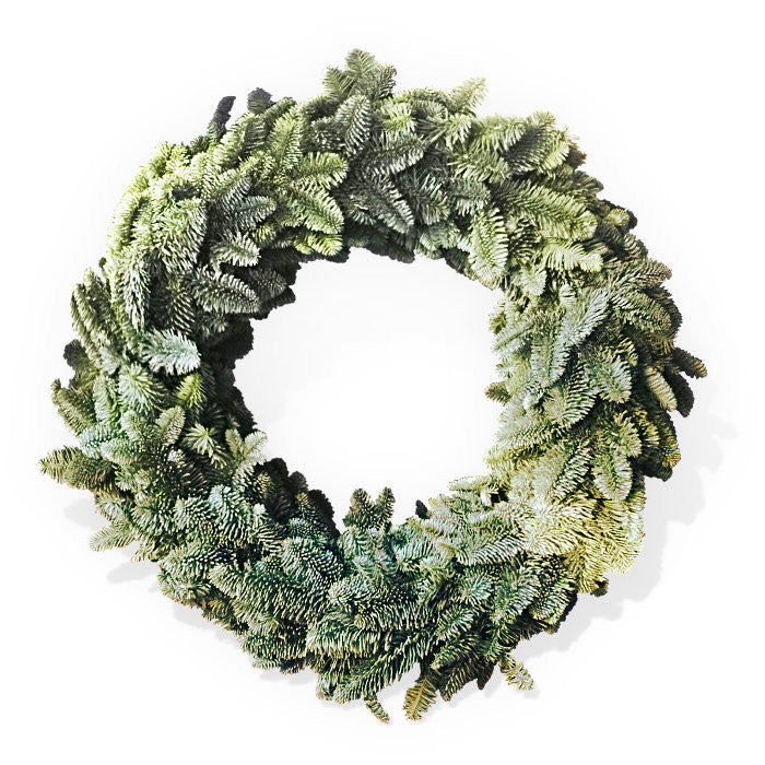 Evergreen wreath with non-drop Nordmann Fir branches