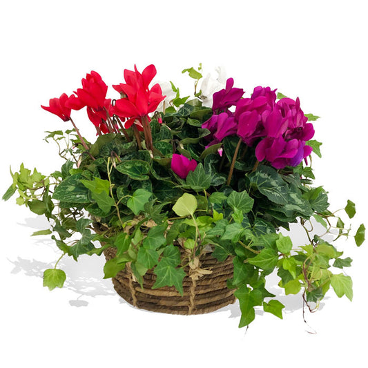 Floral Basket