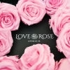 Love Rose