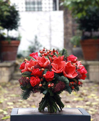 Roses and amaryllis for Christmas