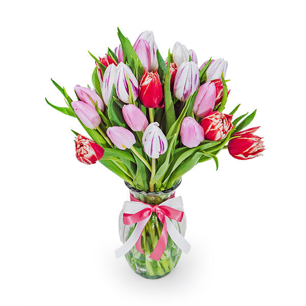 Sweet Tulips in a Vase