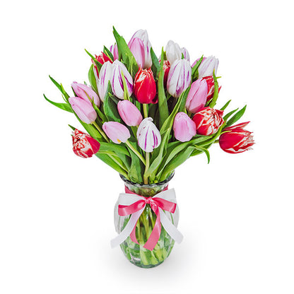 Sweet Tulips in a Vase