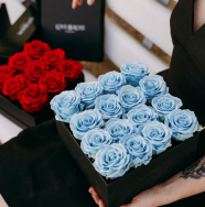 Infinity Roses