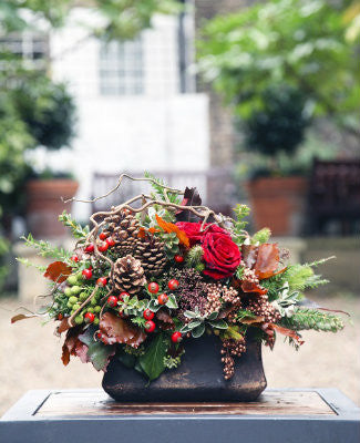 Christmas floral design in a ceramic pot