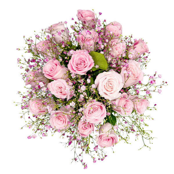 soft pastel pink roses