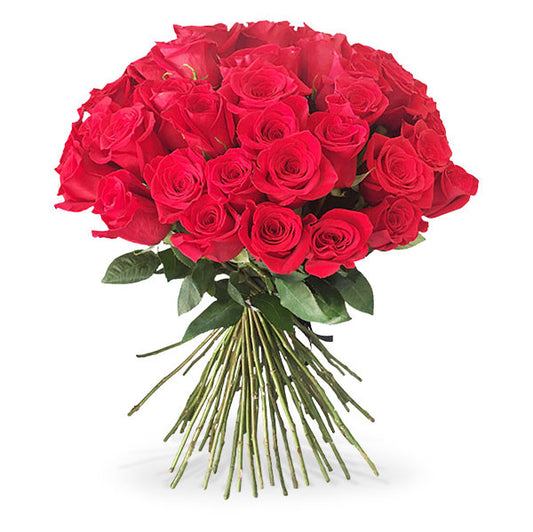 50 Long Stem Red Roses