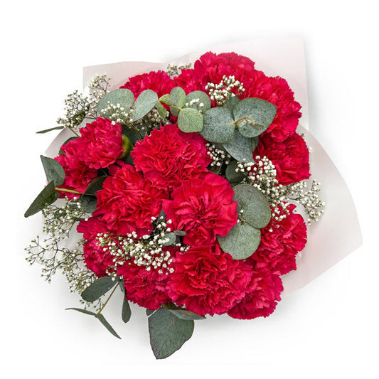 Red Carnation Bouquet