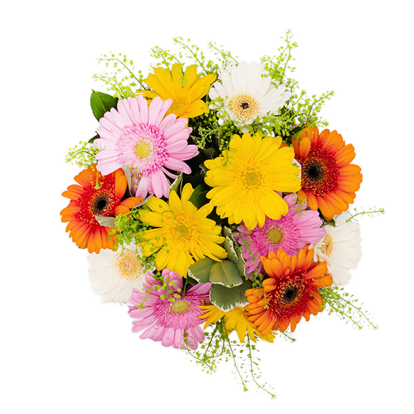 Gerbera Bouquet