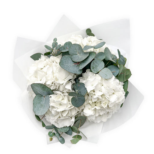 White Hydrangea and Eucalyptus Bouquet